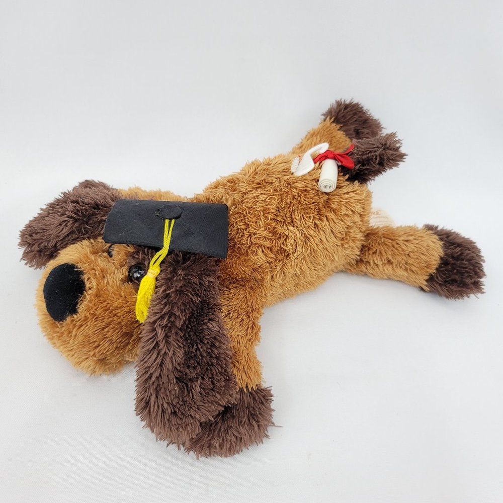 Dan Dee Collectors Choice Graduation 11" Dog Plush